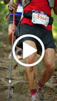 BIB:  <button type="button" onclick="openModal(27634509)" class="btn btn-primary btn-sm float-right" data-toggle="modal" data-target=".modal-high-quality">
                <i class="fa fa-download"></i> Download
                </button>